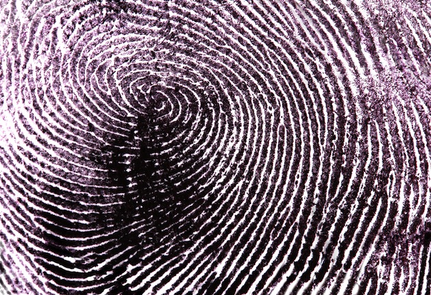 Fingerprint As A Labyrinth